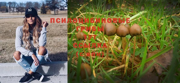 spice Нефтекумск