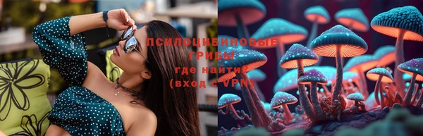 а пвп мука Нея