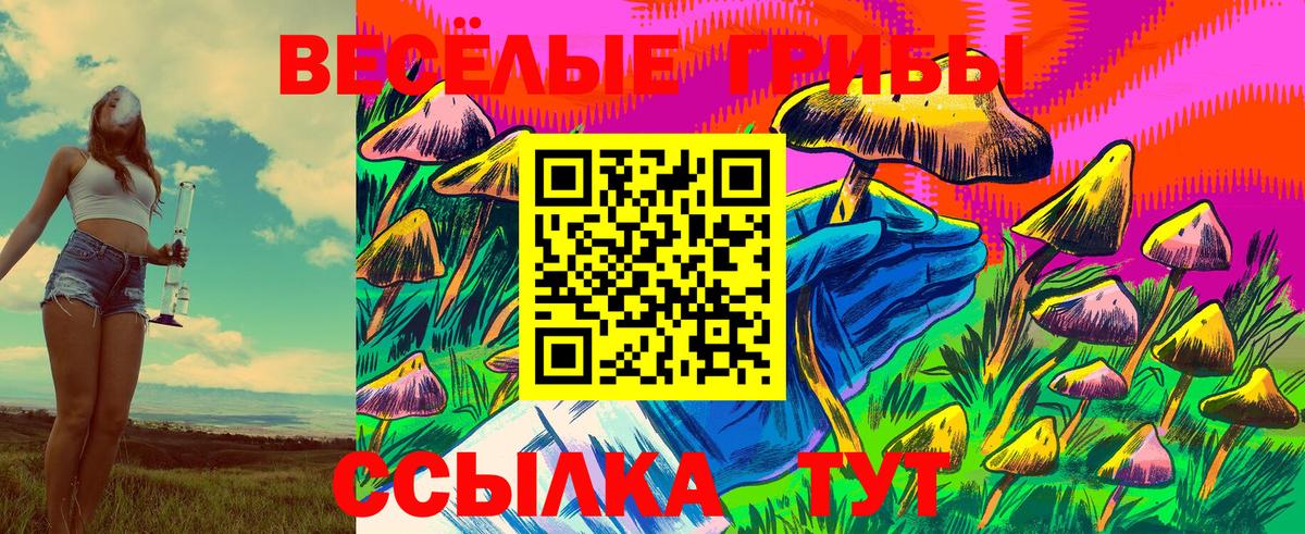 Псилоцибиновые грибы Magic Shrooms Унеча