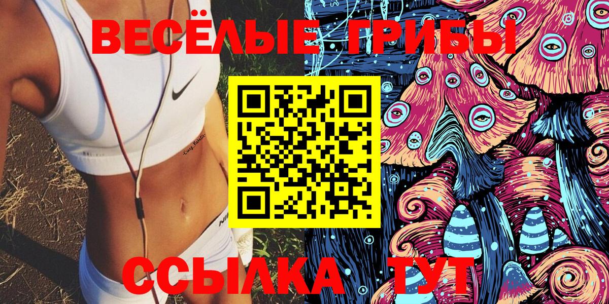 Галлюциногенные грибы Psilocybine cubensis  Унеча 