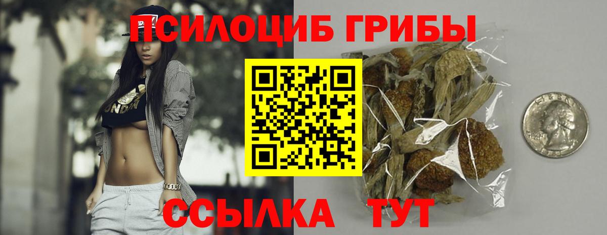 Галлюциногенные грибы мицелий  Вход с VPN  Унеча 